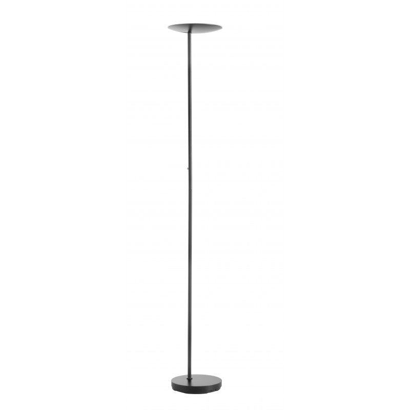 DAPHNE / Lampadaire